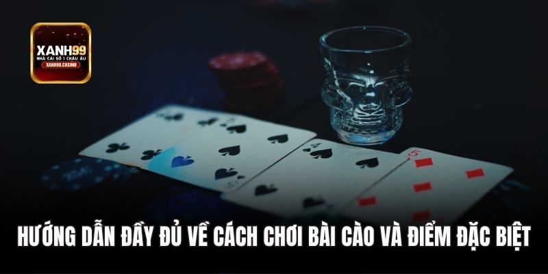 Hướng dẫn đầy đủ về cách chơi bài cào và điểm đặc biệt