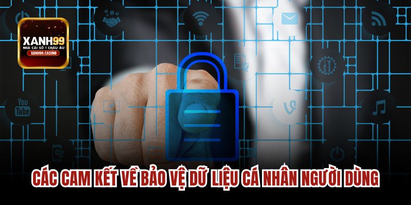 Các cam kết về bảo vệ dữ liệu cá nhân người dùng